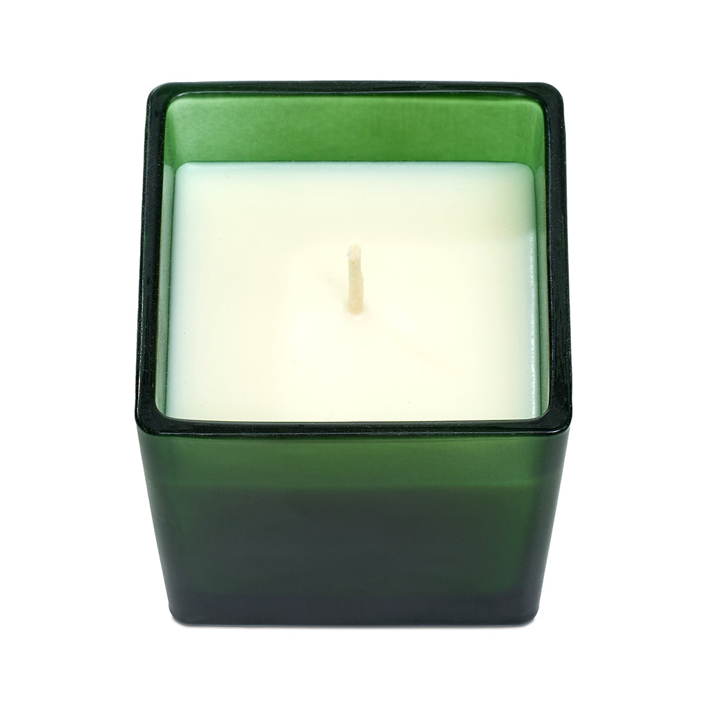 Montce Holiday Classic Candle (Green)