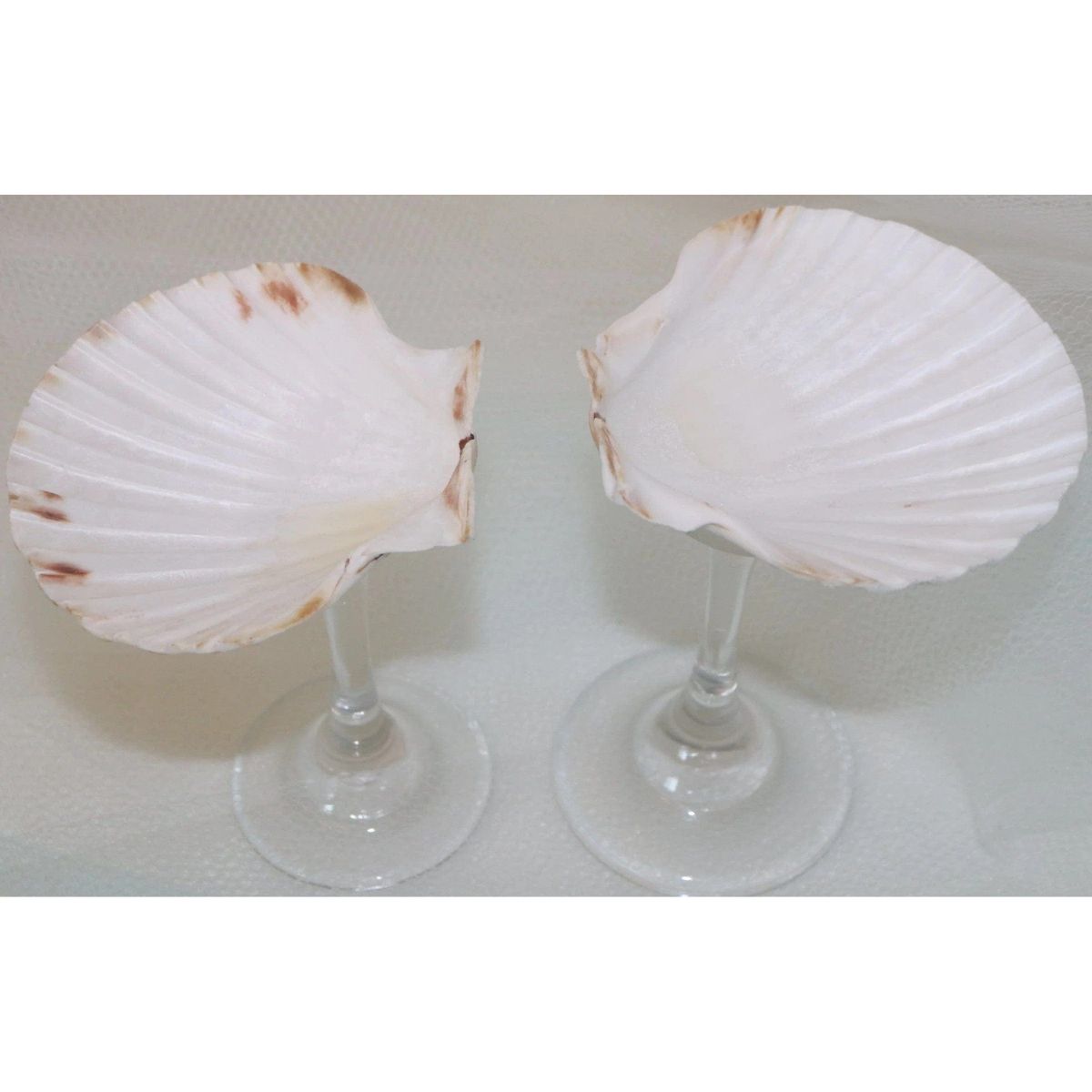 Martini Shell Glass