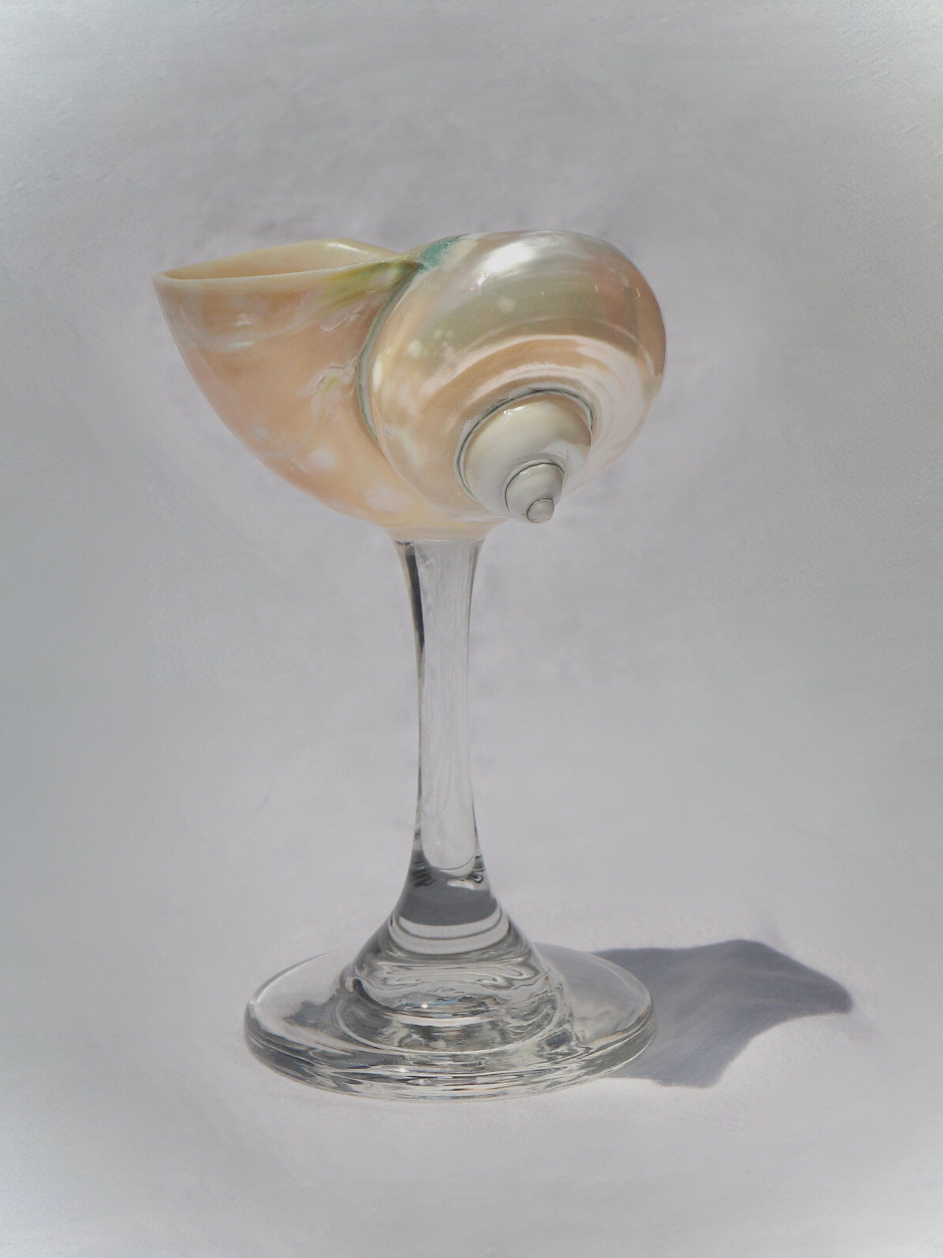 Pearl Jade Shell Glass